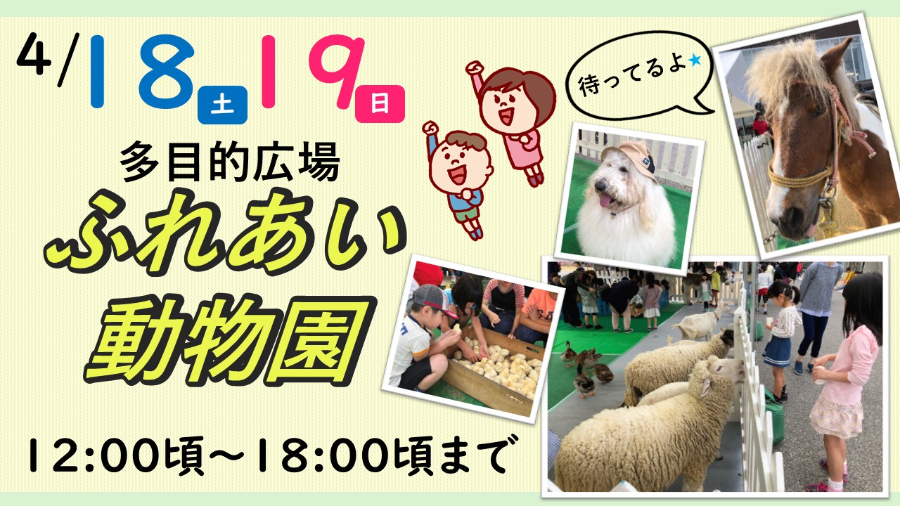 イベント写真