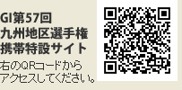 携帯特設サイト
