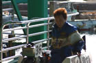 2006年九州地区選手権