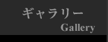 ギャラリー